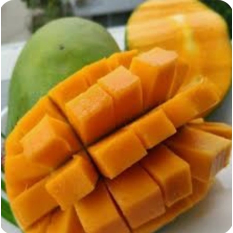 

Mangga Harum Manis