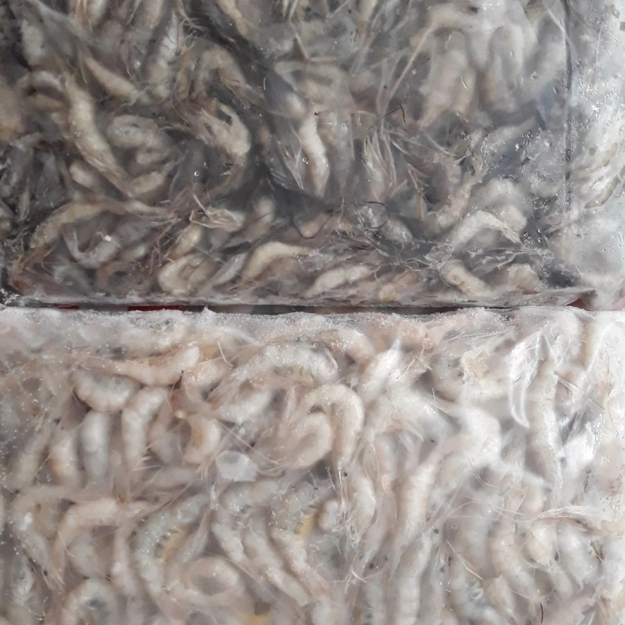 Udang Beku (Besar) Pakan Ikan Predator