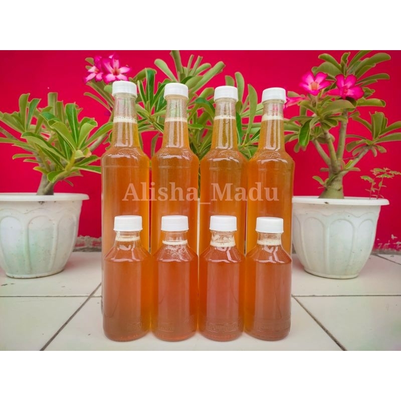 

Madu Hutan Asli 100% Alam Liar BUKAN TERNAK 150ML Kualitas SUPER