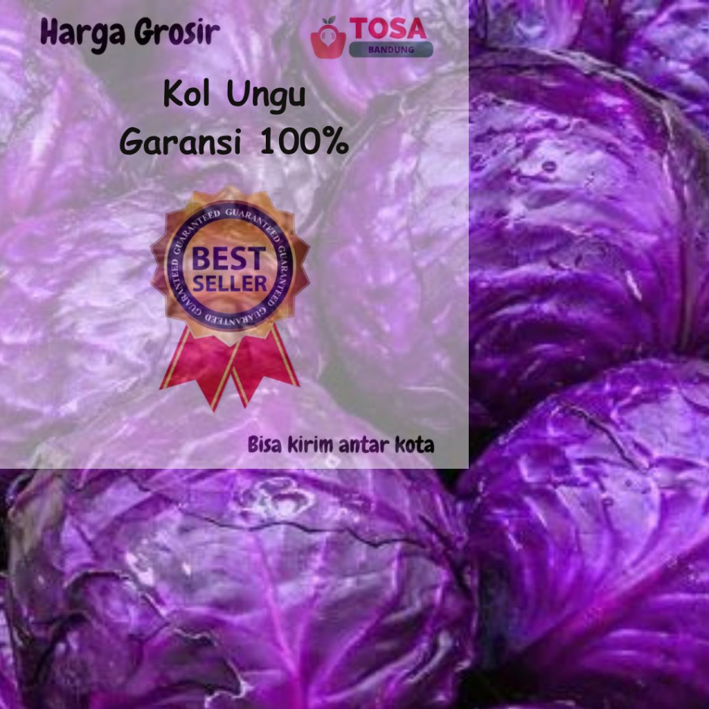 

Kol Ungu grosir kirim antar kota