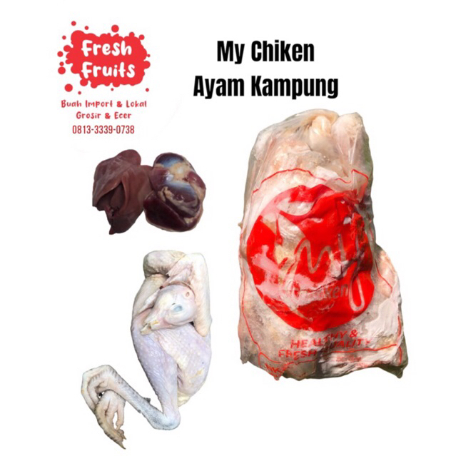 

My Chiken Ayam kampung 0,725 Kg/Pcs