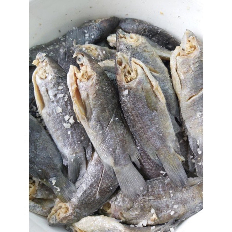 

WADI IKAN PAPUYU 250 gram Kab. Tanah Bumbu