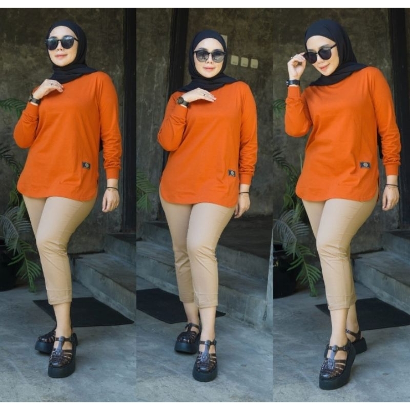 Baju Kaos Wanita Lengan Panjang Merek Dinarry Warna Merah Bata / Atasan Wanita / Kaos Wanita / Atasa