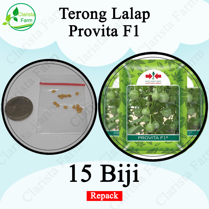 Benih Bibit Terong Bulat Hijau Lalap Provita Repack Cap Panah Merah