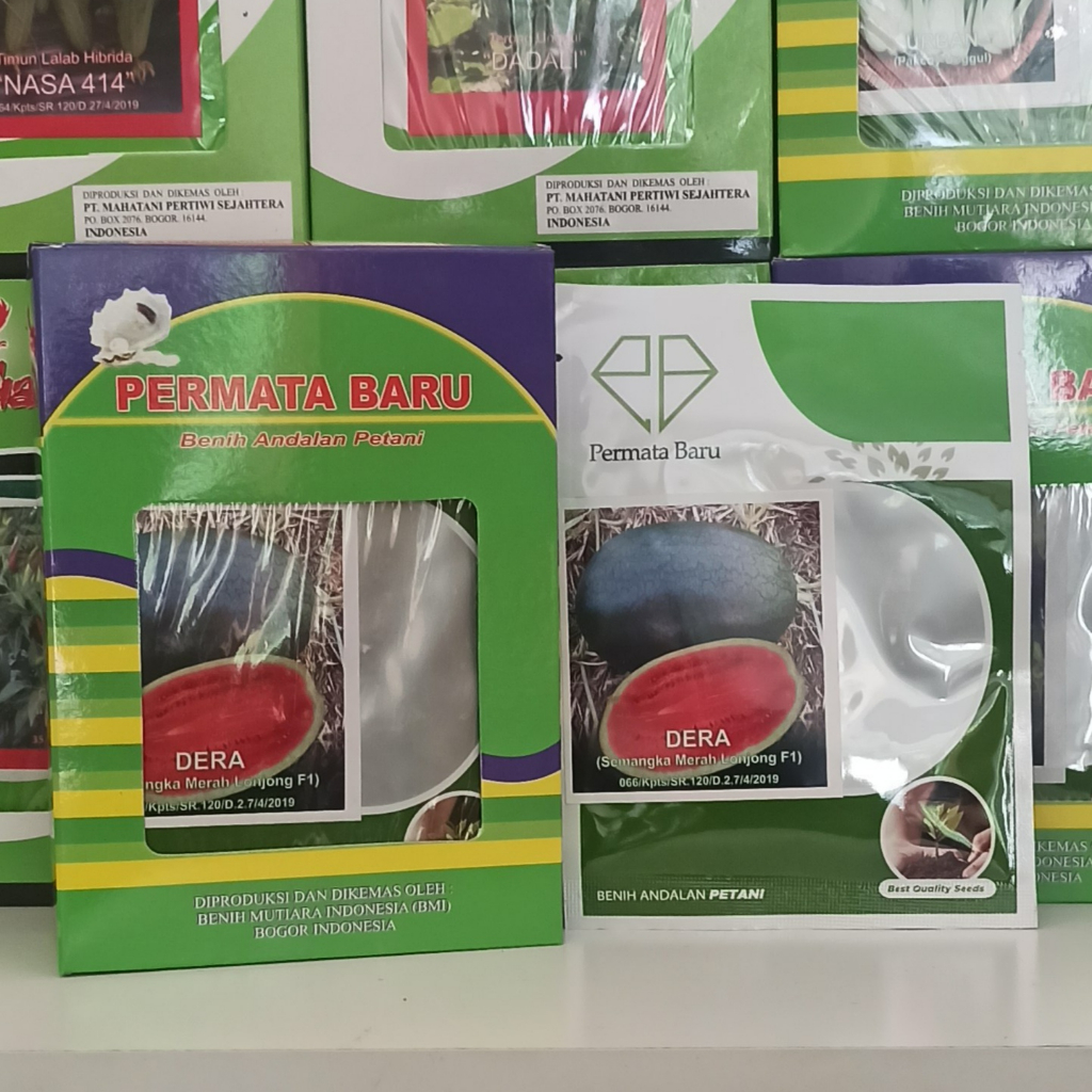 Benih Semangka inul F1-DERA 10 Gram Benih Semangka Lonjong Bibit Semangka Inul Hibrida