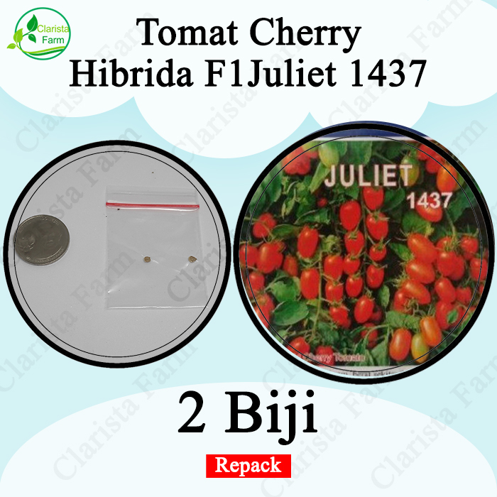Benih Bibit Tomat Cherry Hibrida F1 Juliet Repack Cap Known You Seed
