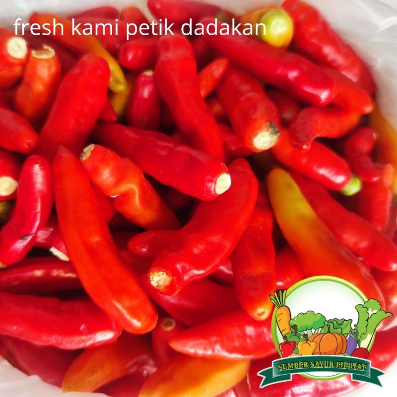 

Cabe cabai rawit merah petik tangkai 250 gram - KIRIM INSTAN