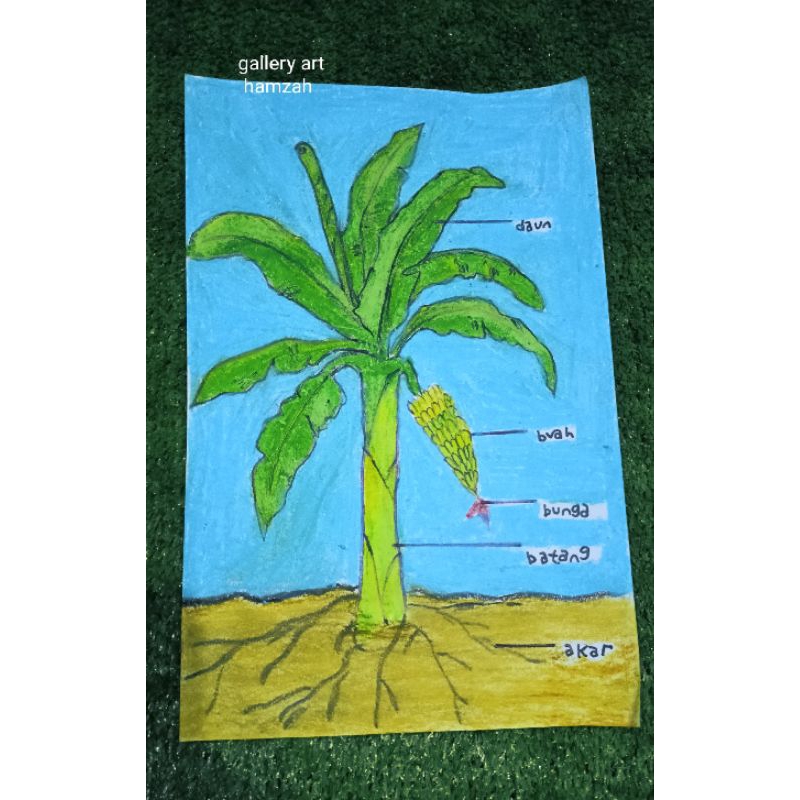 

prakarya gambar anak anak nama bagian tumbuhan/tema kemerdekaan/tema pedesaan