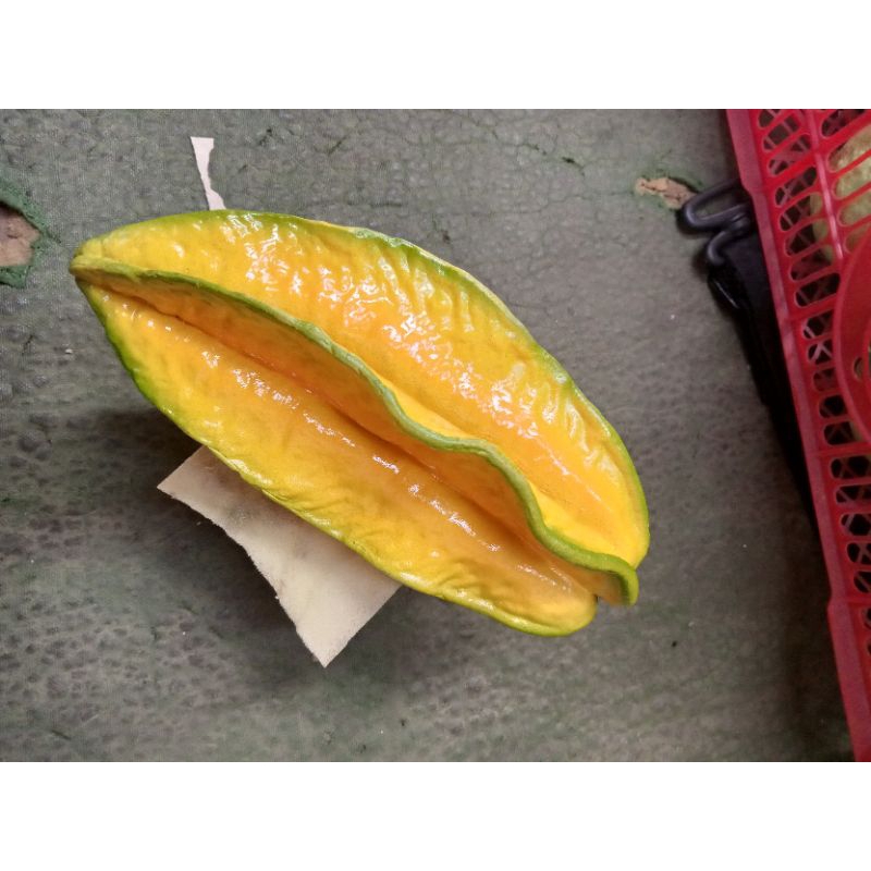 

dummy belimbing/replika buah belimbing/fruit model