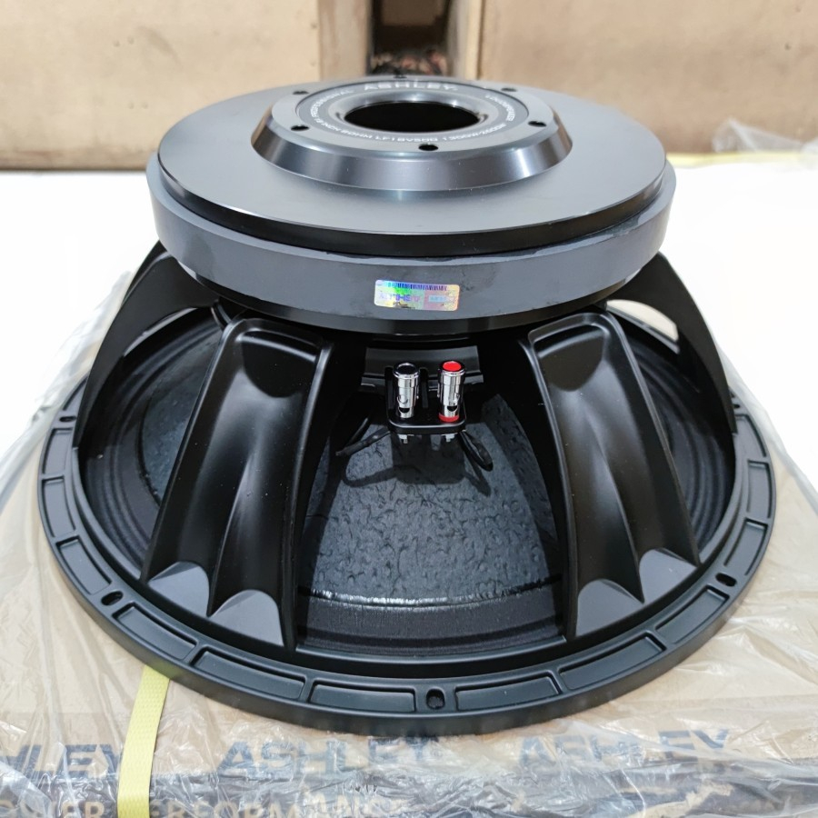 Speaker Subwoofer Ashley 18 Inch LF18V500