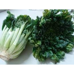 

Pagoda Sayur Rp. 12.500 (500 Gram)