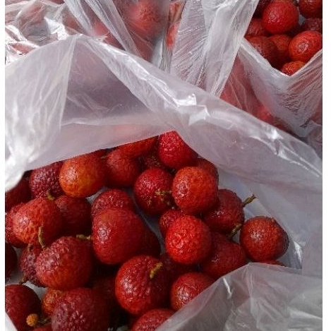 Buah Leci Merah, Segar, Fresh dan Murah 1kg