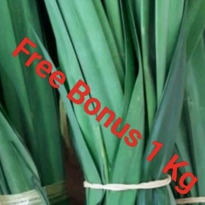 

Daun Pandan Per ikt+ Gratis Bonus