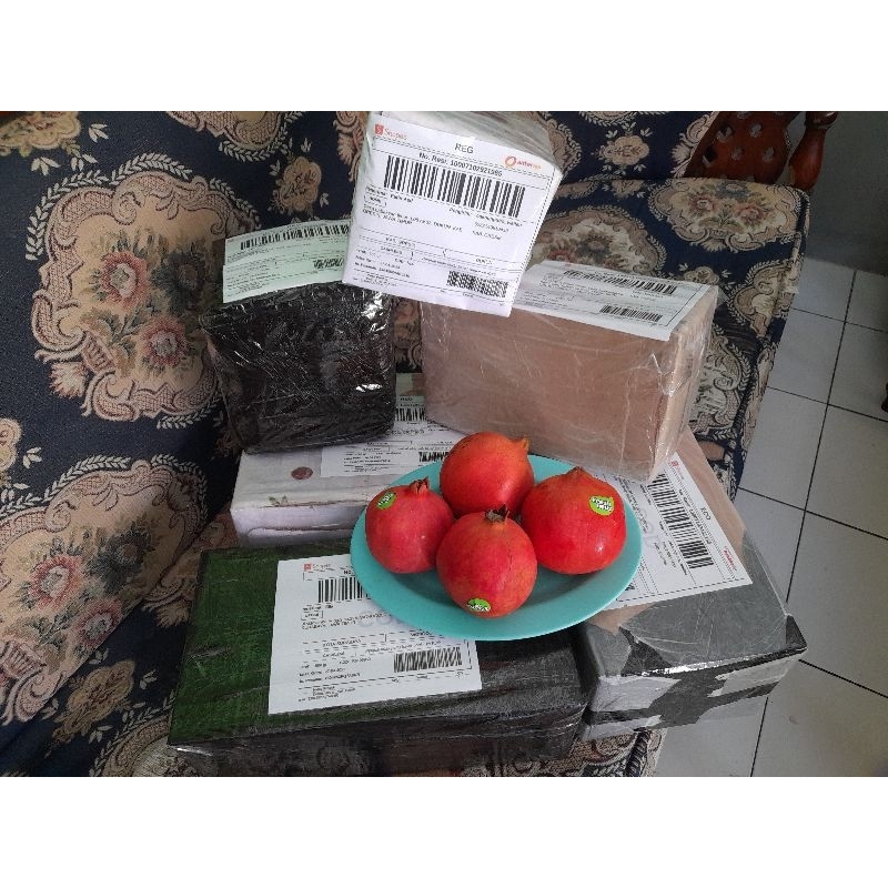 

Delima_merah_india