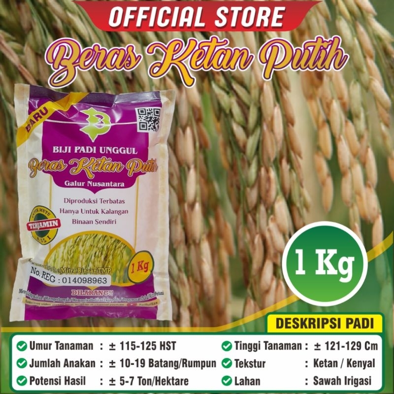

Ketan Putih / Biji Padi Unggul Beras Ketan Putih / Original / Kemasan 1 Kilogram