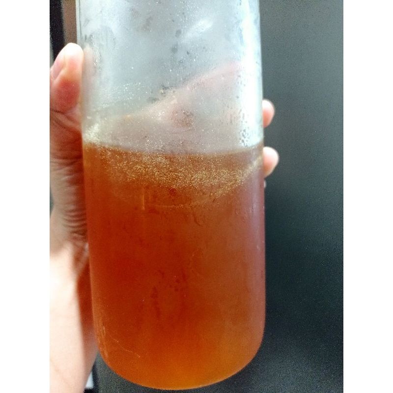 

madu Asli Kapuas Hulu