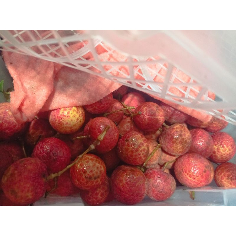 

Buah Leci madu merah 1 kg