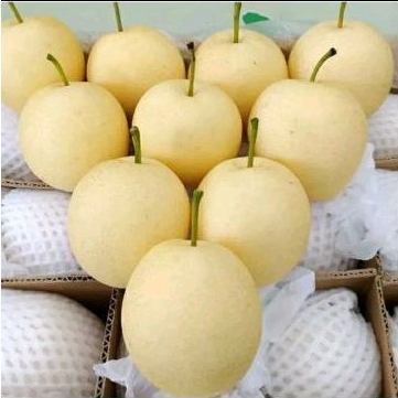 

PEAR CENTURI 1 KG