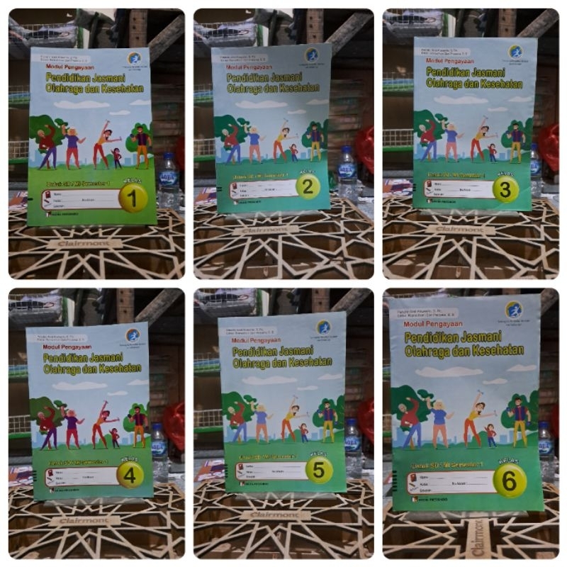 lks pjok SD kelas 1 sampai 6  semester 1 kurikulum 2013