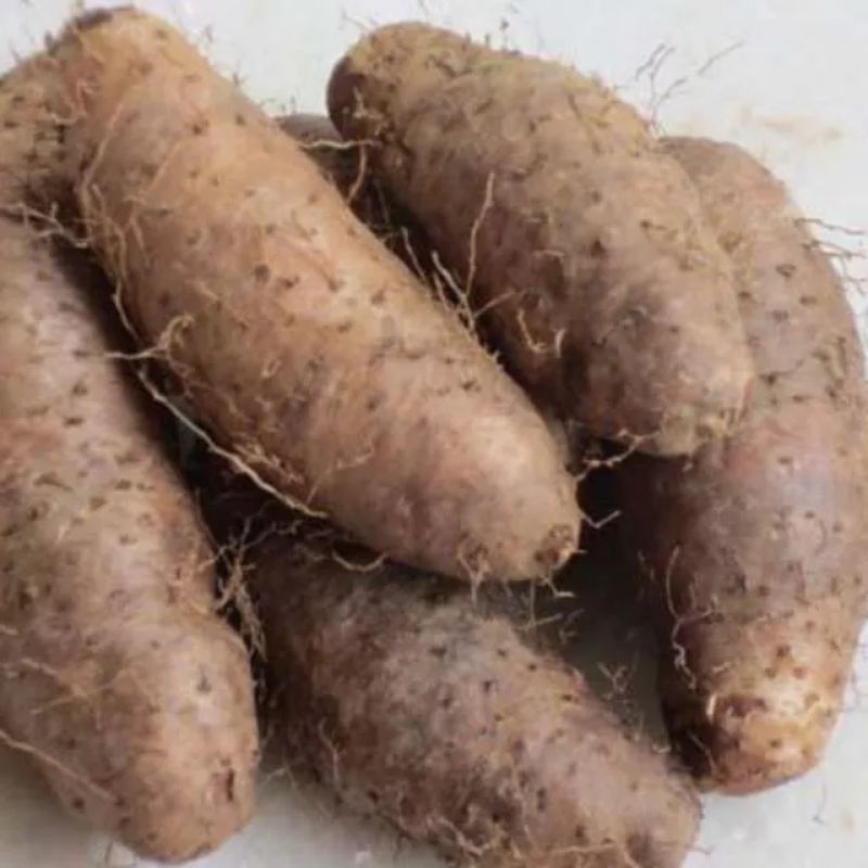 

Gembili madu 500gram