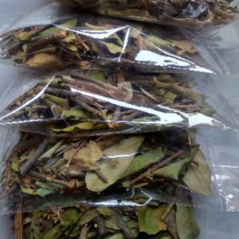 

TERBAIK JAMU HERBAL DAUN CENGKEH KERING-100 GRAM
