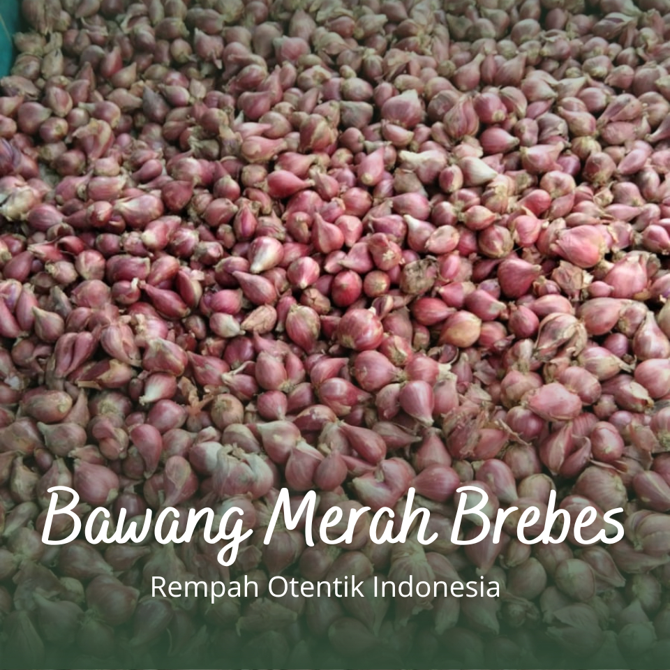 

Bawang Merah Super 500r / Bawang Merah Brebes Super
