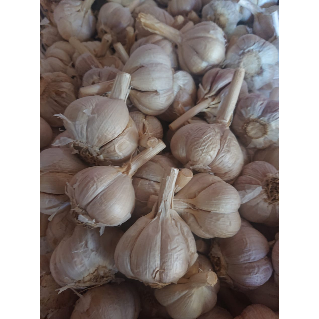 

Bawang Merah / Bawang Putih lokal Bersih 500gr