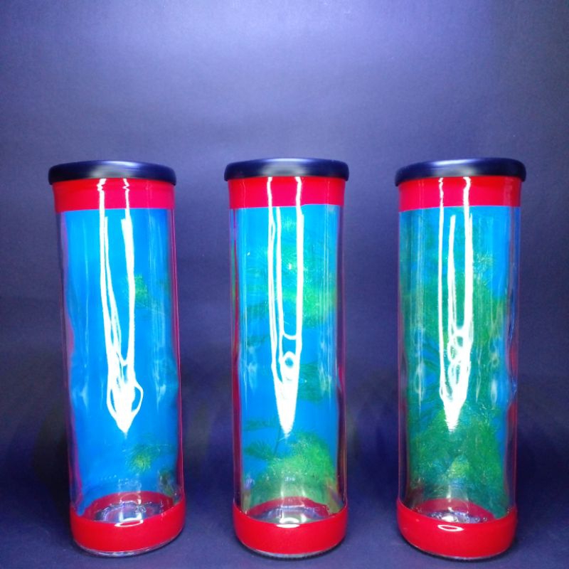 Aquarium mini/ Soliter Cupang/ Soliter mini/ Soliter ikan/ Botol ikan Cupang/ Aquarium ikan hias/ Wa