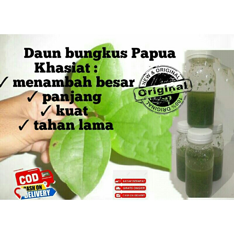 

Daun bungkus papua asli / Minyak daun bungkus papua