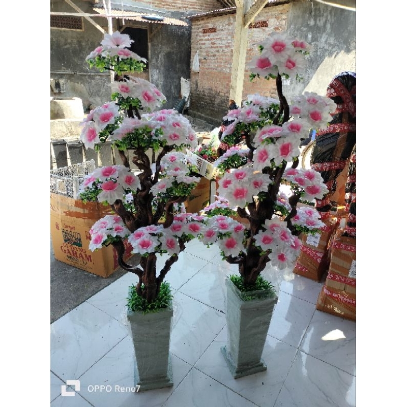 POHON BONSAI AKAR LENGKAP VAS BEBATUAN ISI 15 CABANG//BUNGA SUDUT RUANGAN KAIN / POHON BUNGA SAKURA 