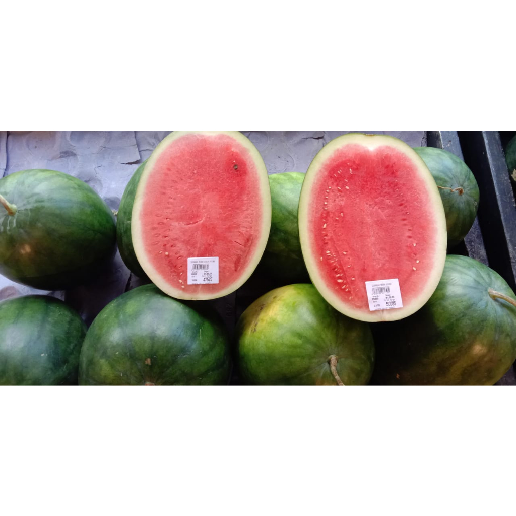 

Semangka Merah biasa 6-7kg
