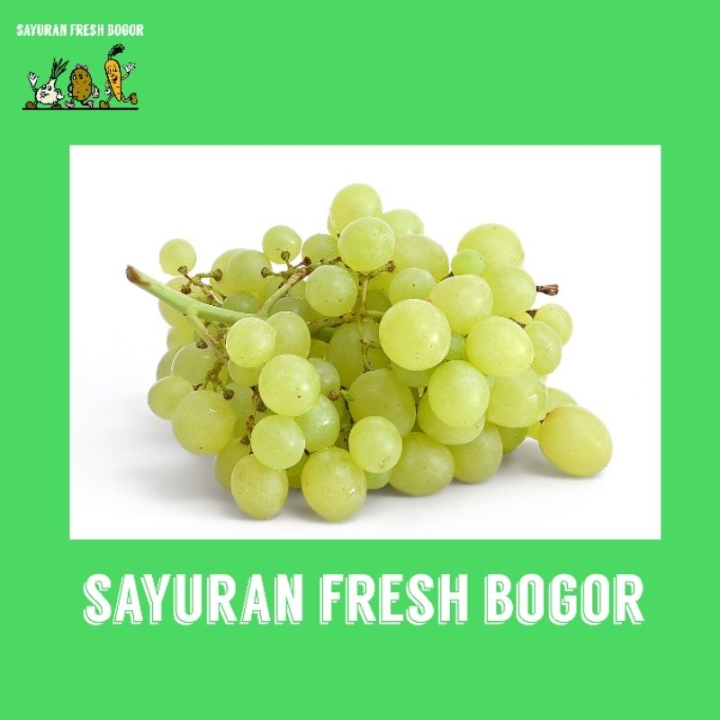 

Anggur Hijau ( 250 Gram ) | Sayuran Fresh Bogor