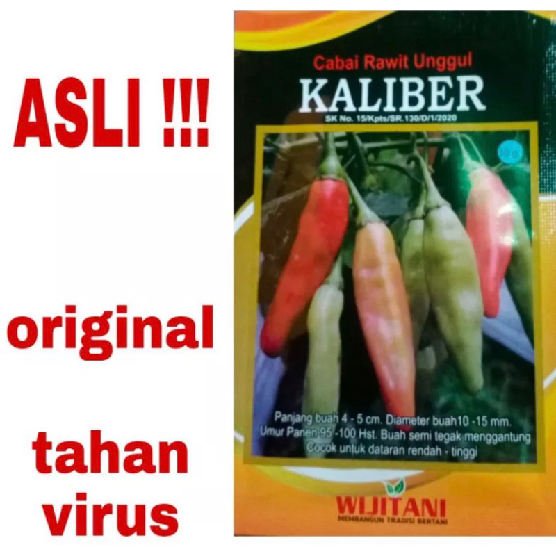 Benih cabe Rawit KALIBER 10Gr Wiji Tani