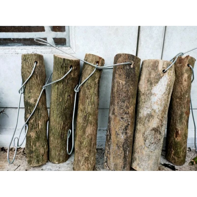 Batang kayu kopi media tanam anggrek/batang kayu kaliandra media tanam anggrek/media anggrek hias