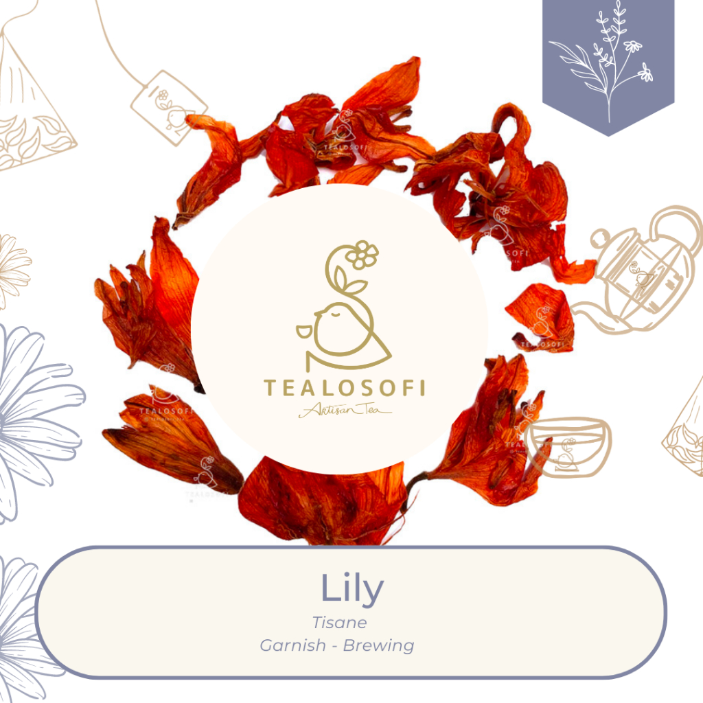 

Lily Flowers - Organic Herbal Tisane Oranges Lily