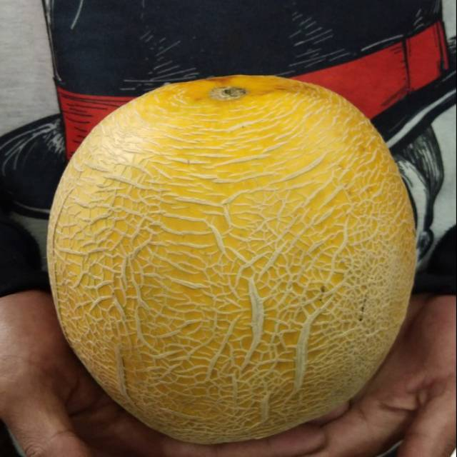 

QUEEN BUAH - Buah melon madu manis