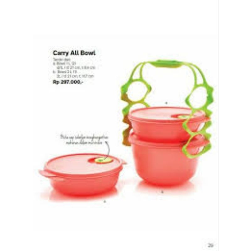 carry set all bowl tupperware guava new