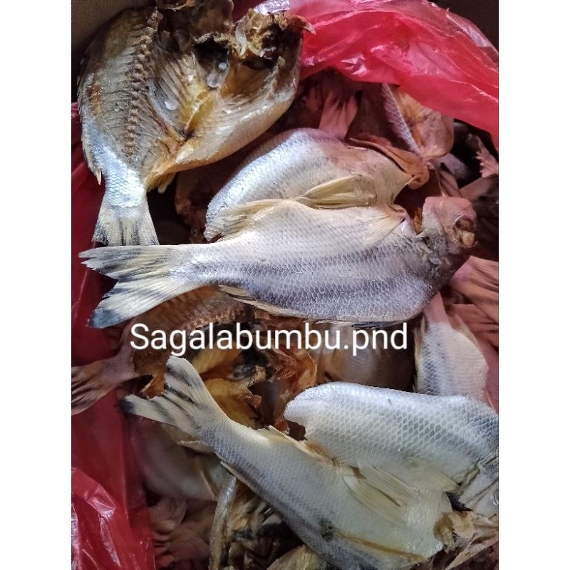

Ikan asin janggrung ikan asin jaer laut oleh oleh pangandaran , ikan asin pangandaran ikan asin janggrung/jaer laut