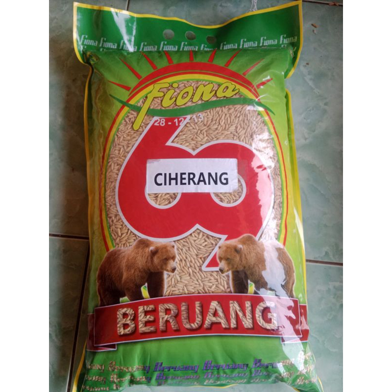 benih padi ciherang beruang / cbr ori fiona label ungu kemasan 5kg