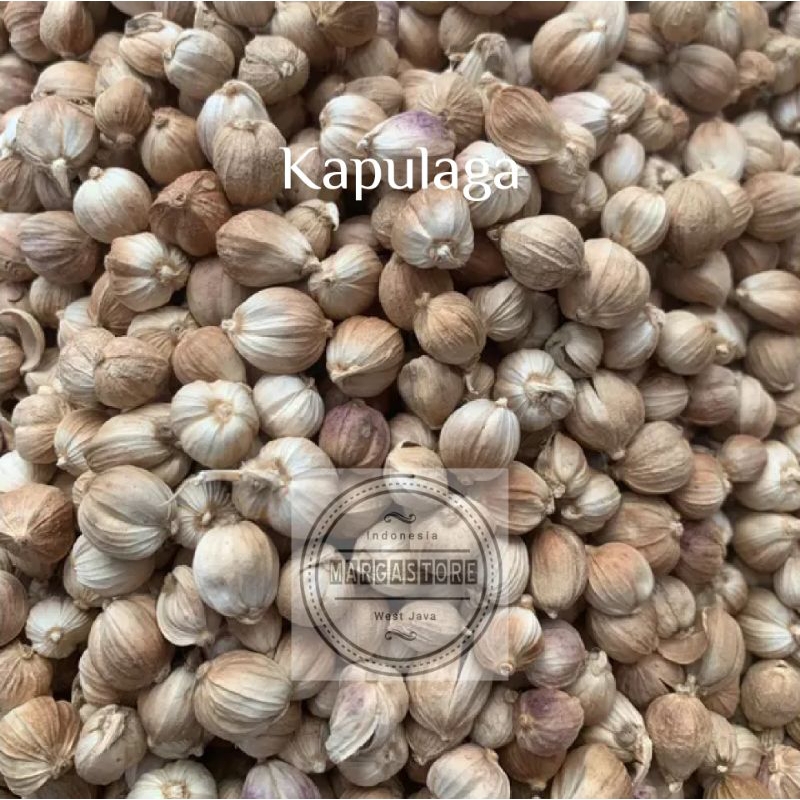 

Kapulaga 1kg Kapulaga Jawa Kapolaga