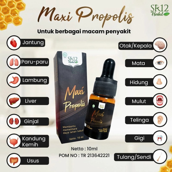 

MAXI PROPOLIS SR12/ ANTI INFLAMASI / ATASI PERADANGAN / MELAWAN RADIKAL BEBAS
