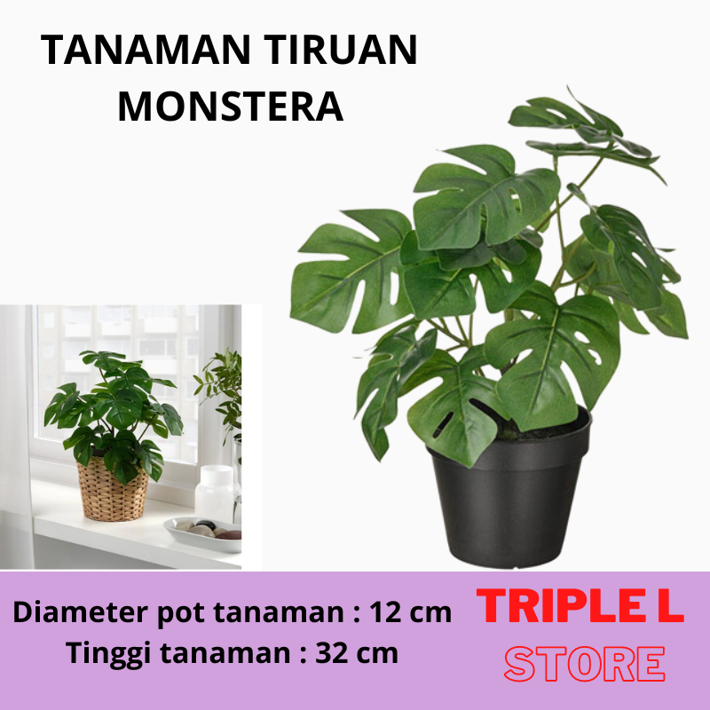 Tanaman Monstera Artificial Palsu Tiruan Monstera Tinggi 32 cm Dengan Pot 12 cm