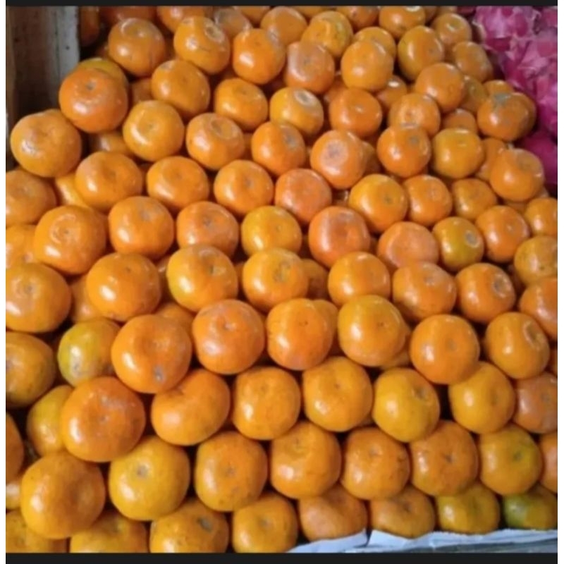 

Jeruk Medan Brestagi medium