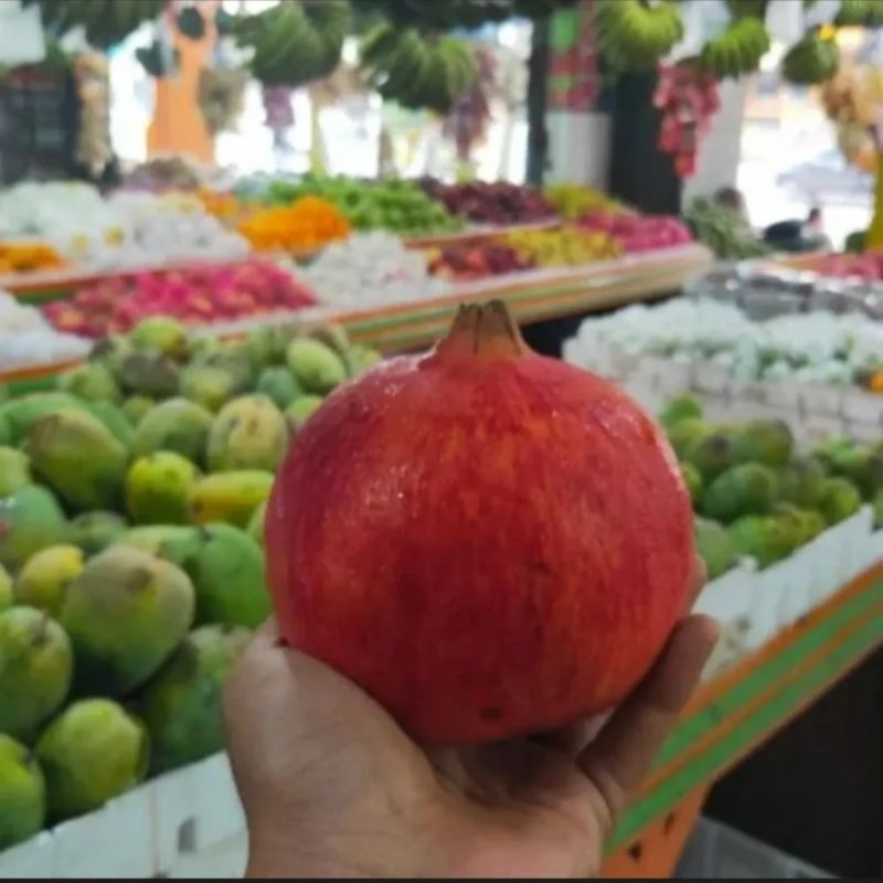 

Buah Delima Jumbo Import ready lagi hari ini