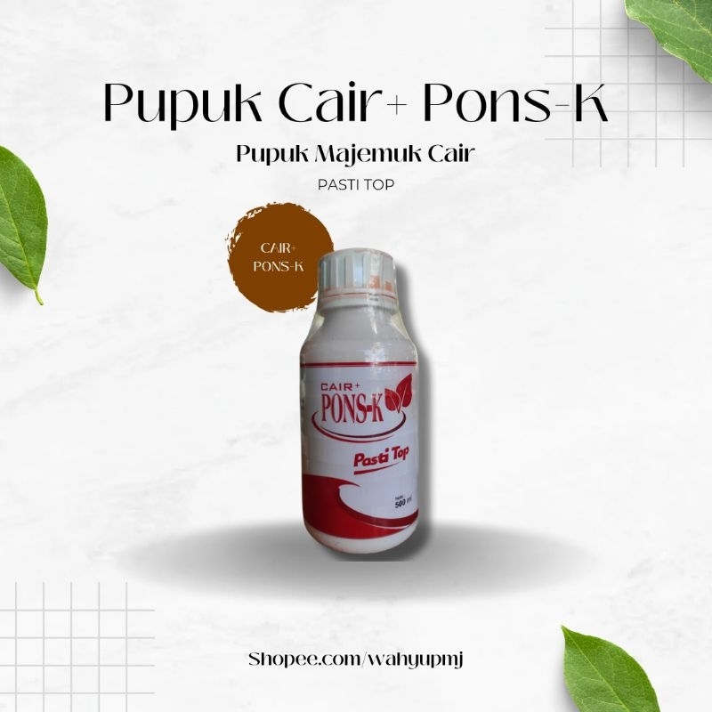 Pons-k cair
