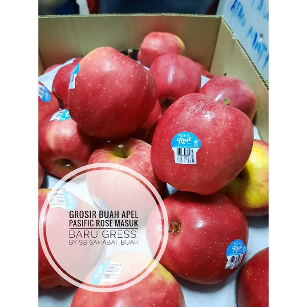 

QUEEN BUAH - BUAH APEL PASIFIC ROSE NEW ZEALAND HARGA PER 1 PIS