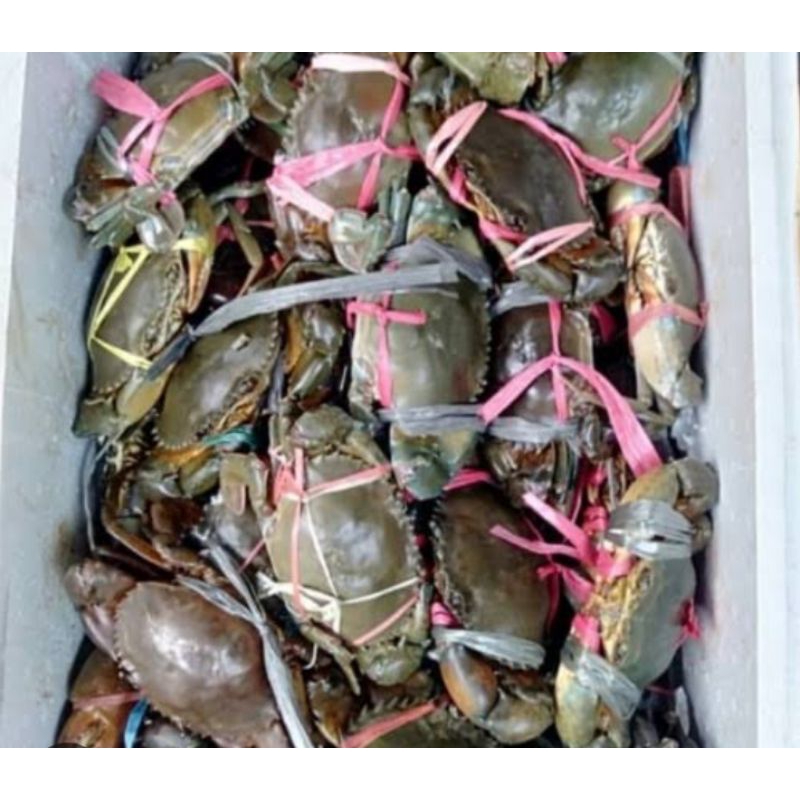 

kepiting