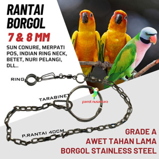 RANTAI BORGOL KAKI BURUNG SUNCONURE NURI 8MM