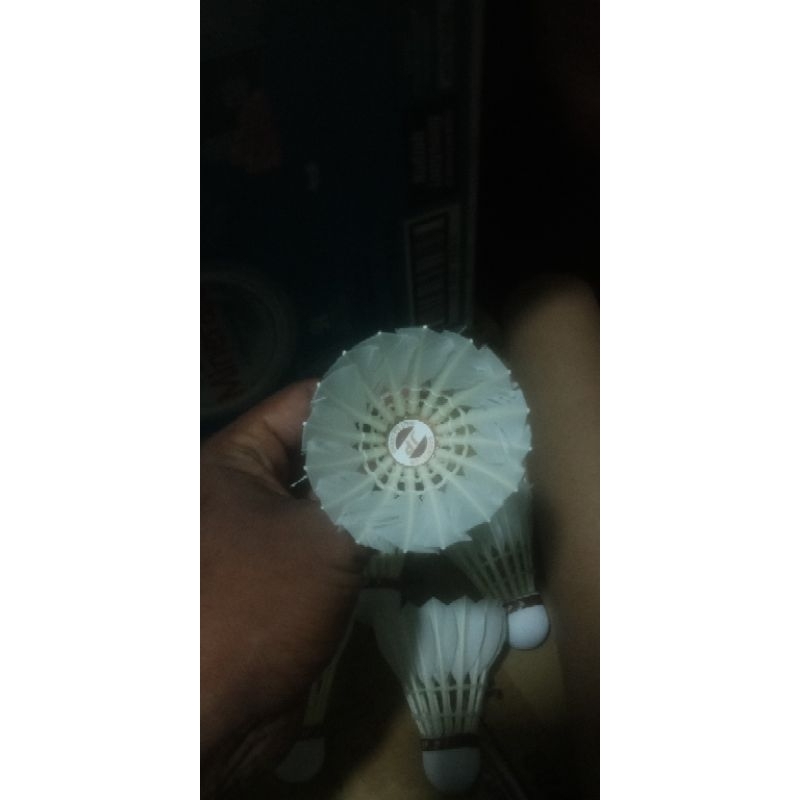 shutllecock/cock/kok bekas jp gold kondisi 95% - 97% Like New