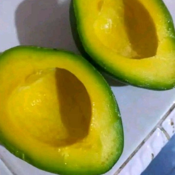 

Buah Alpukat